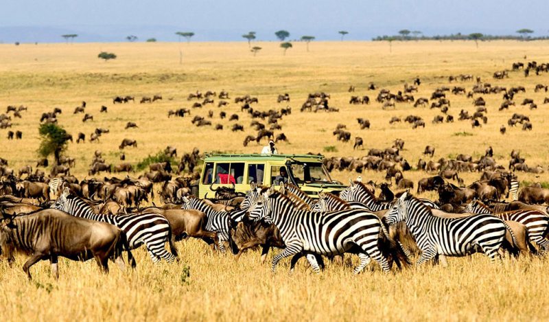 How far in advance should I book a Tanzania safari?