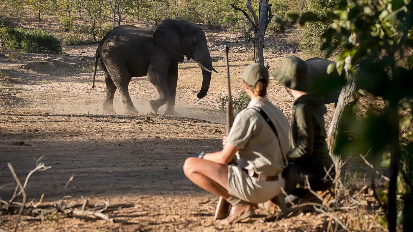How much do Tanzania safari guides earn?