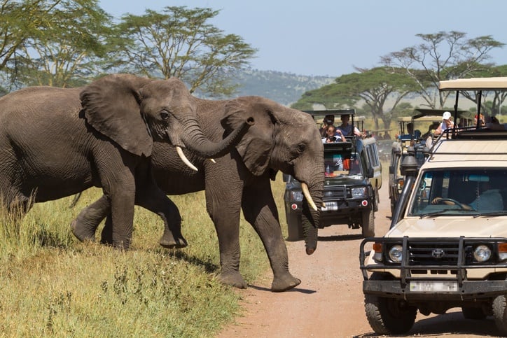 How to avoid tourist crowds during a Tanzania safari?