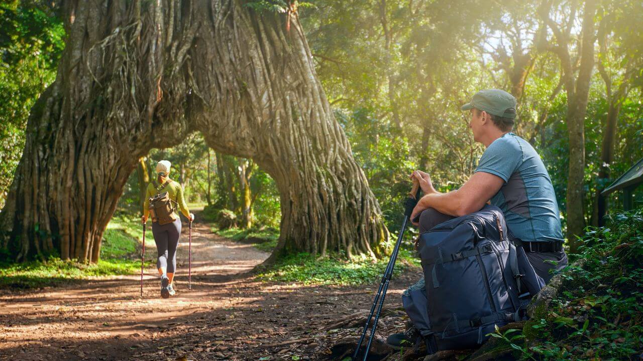 How to book a Tanzania safari from Europe?