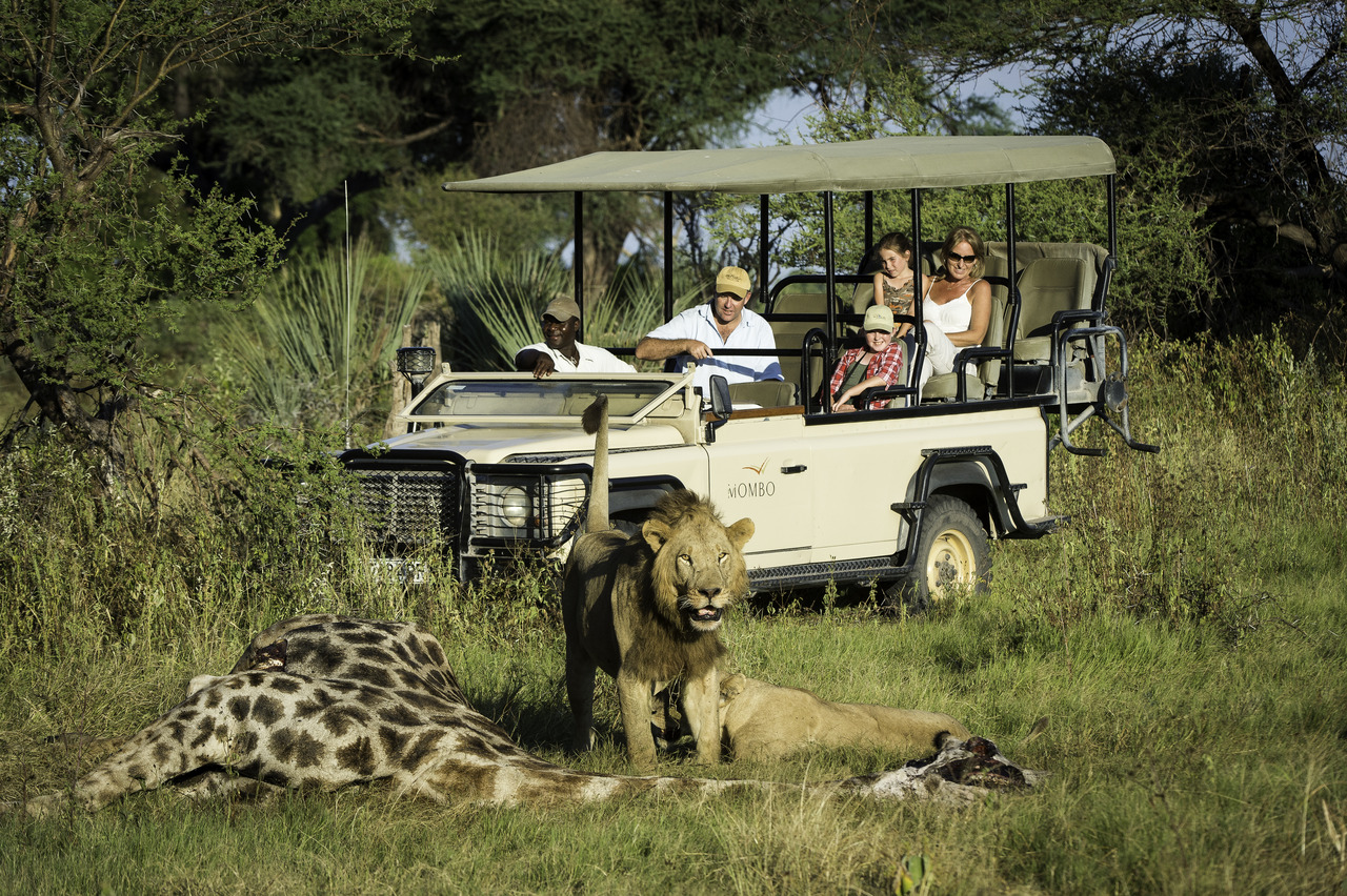 Inexpensive Tanzania safari packages, Budget-friendly wildlife adventures