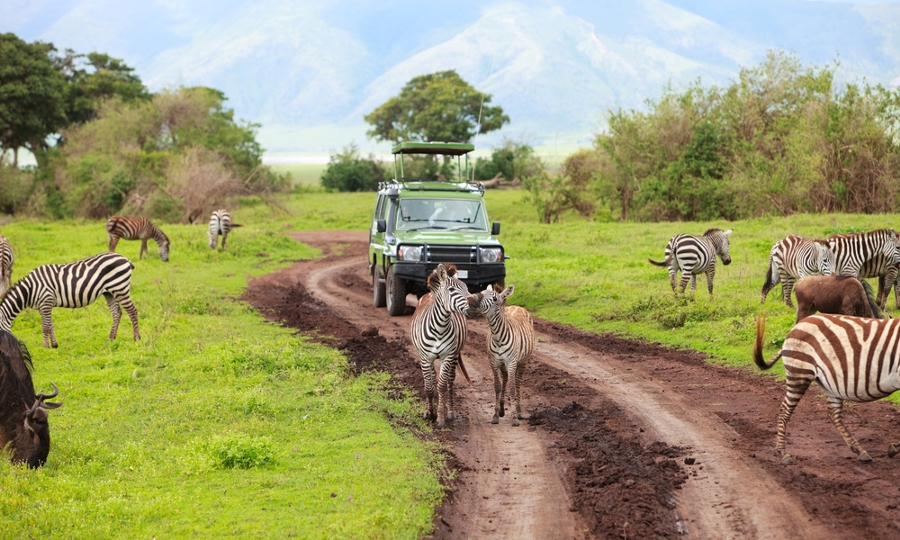Is Maswa Game Reserve safe for tourists?