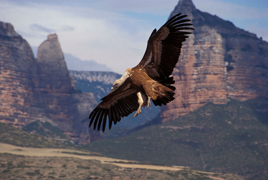 Is birdwatching popular in Loliondo?