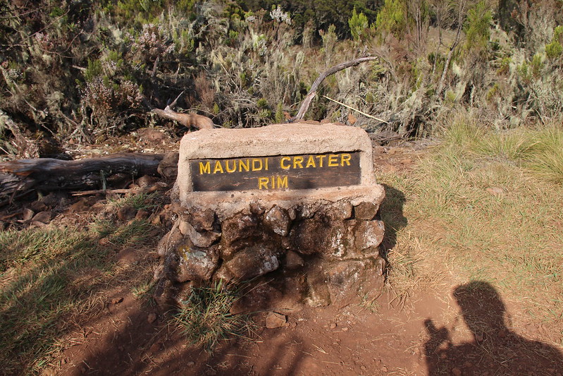 Kilimanjaro Trekking Experience