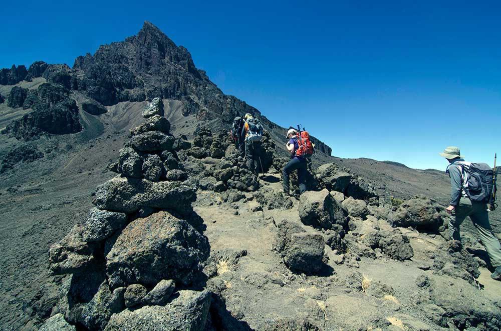 Kilimanjaro Short Adventure, Short Kilimanjaro hike