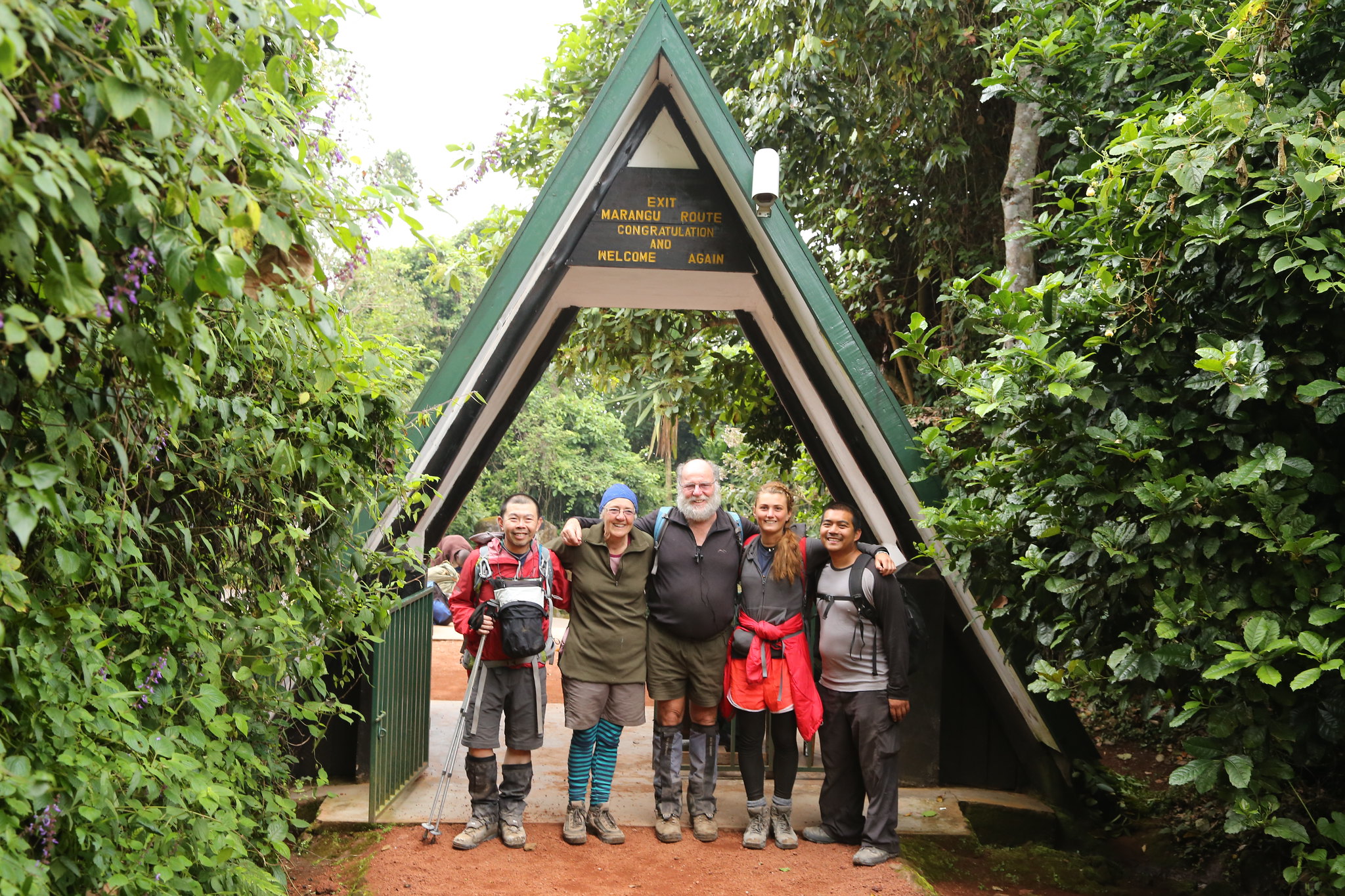 Kilimanjaro Short Hike Packages, Short trek Kilimanjaro