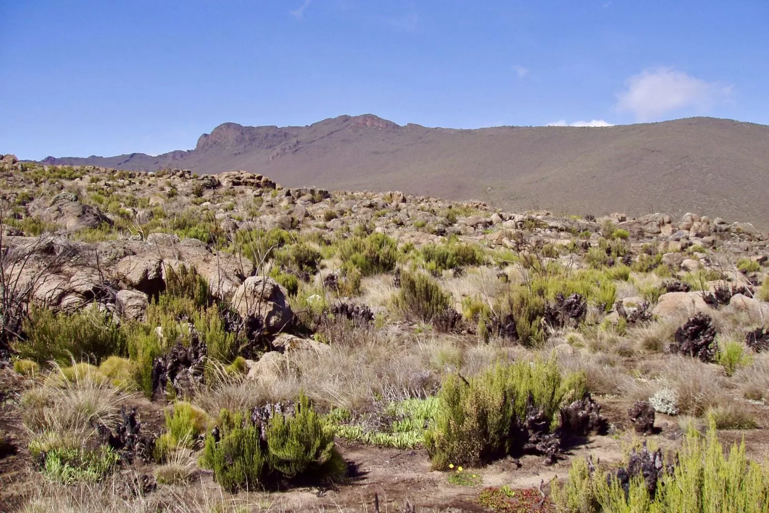 Kilimanjaro climb in 7 Days Machame Route