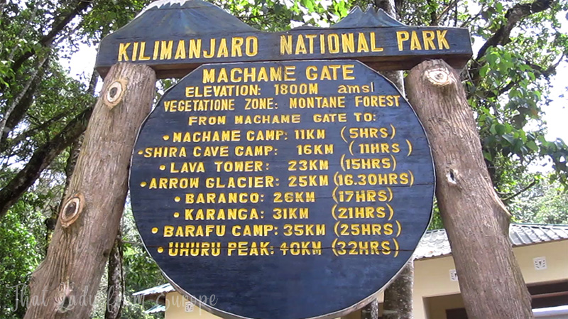 Kilimanjaro climb private tour in January
