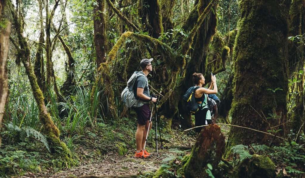 Kilimanjaro climb private tour in January