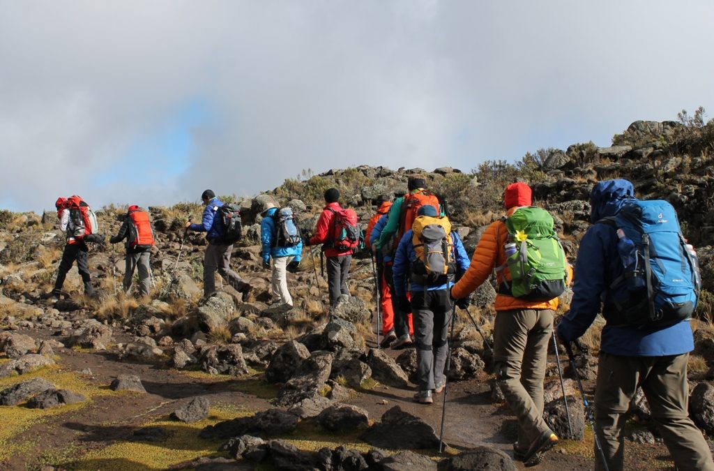 Kilimanjaro group climb Departure July | Kilimanjaro join group