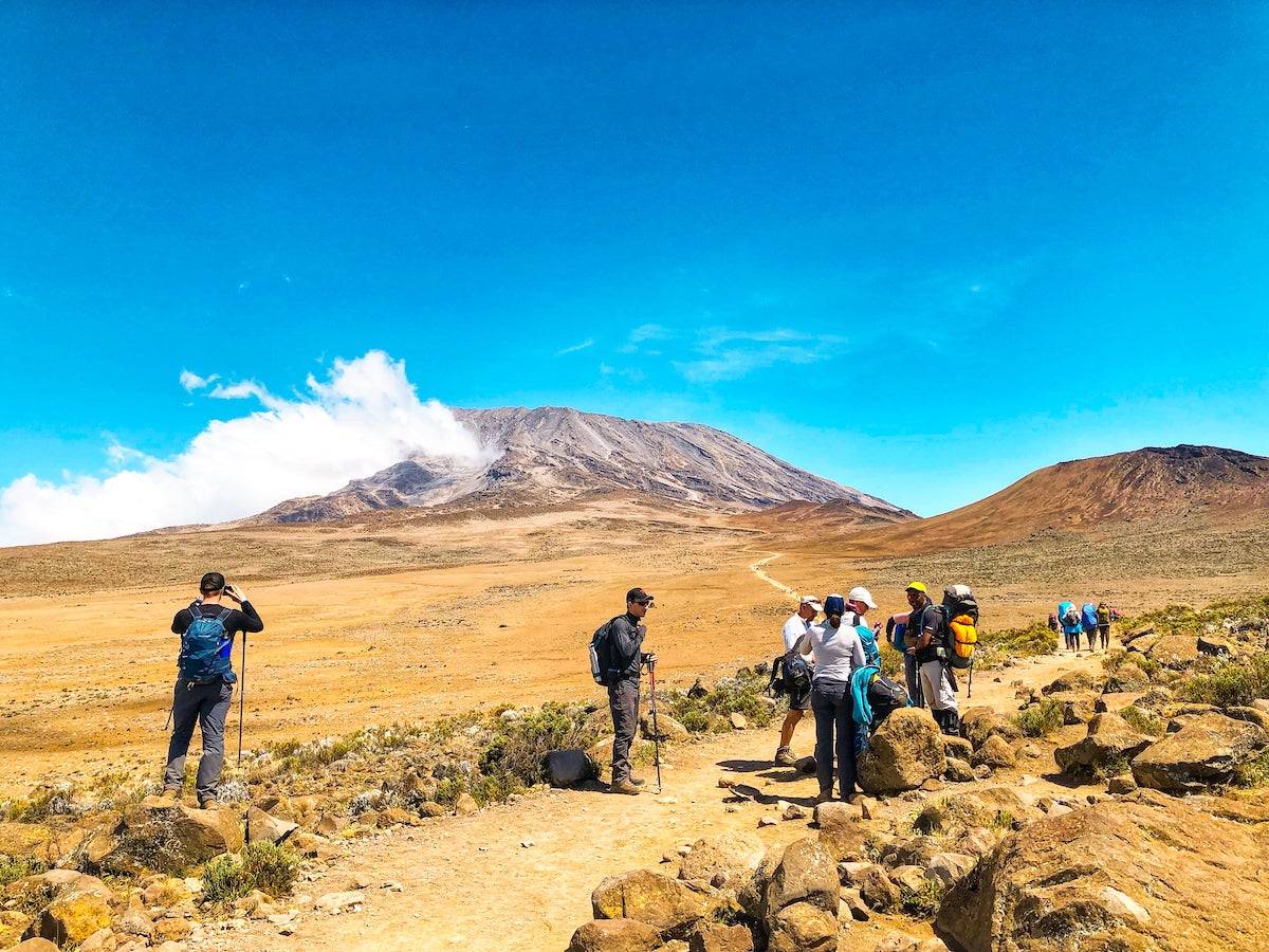 Kilimanjaro trekking package for adventure seekers