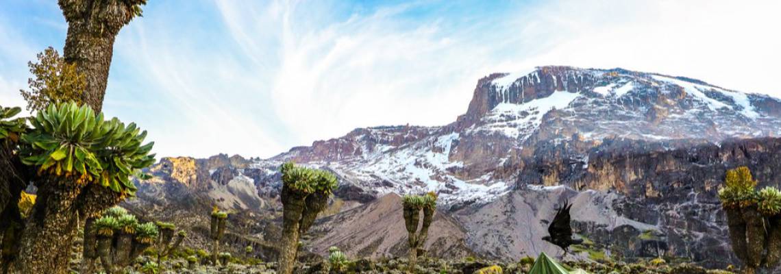 年最佳 8 天乞力马扎罗山至勒莫绍路线 行程