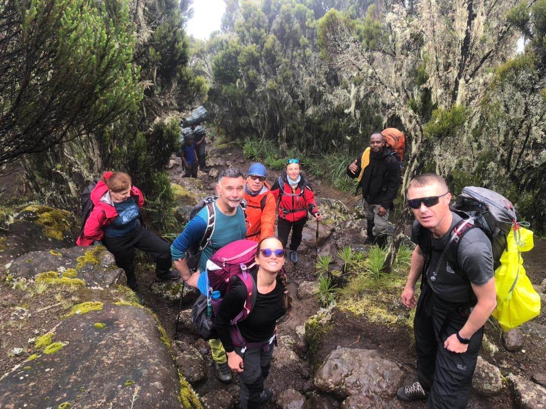 Lemosho Route Kilimanjaro group climb