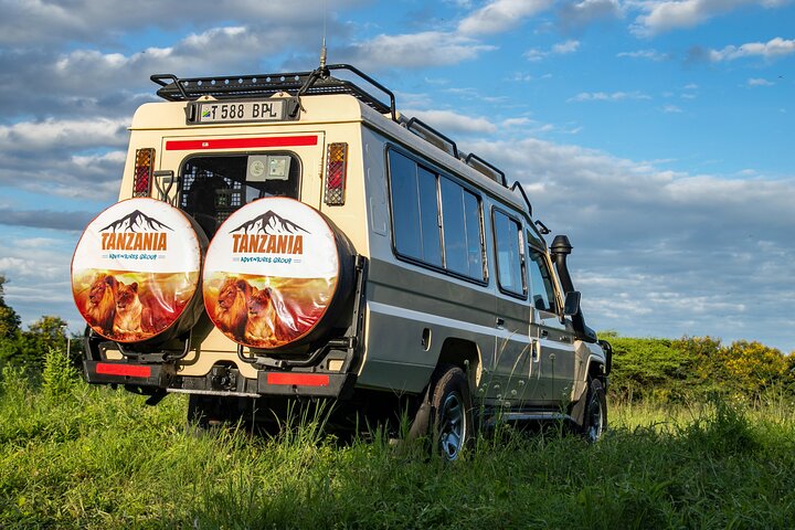 Low-cost Tanzania safari packages, Budget-friendly rates