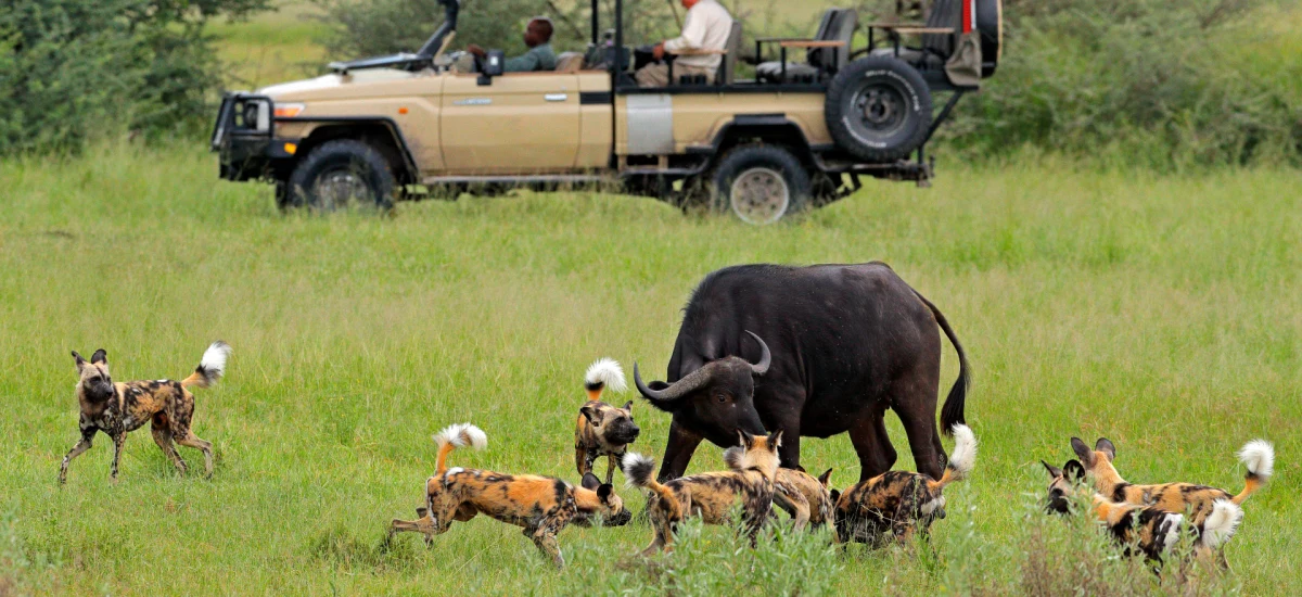 Maasai Mara horse safaris