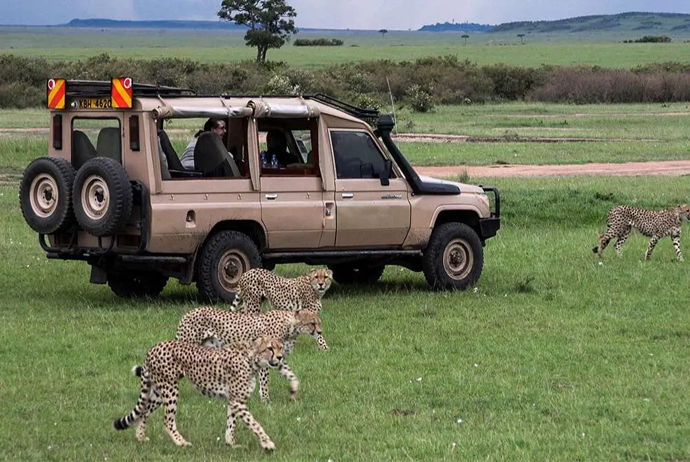 Maasai Mara premium safari experiences