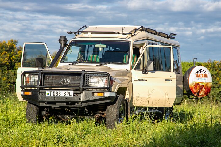 Maasai Mara safari jeep rentals