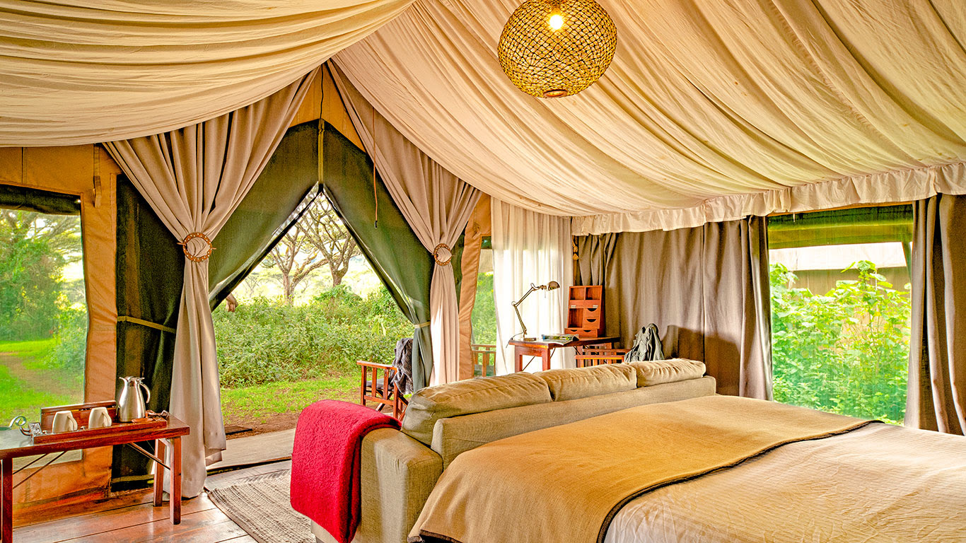 Maasai Mara seasonal migration safaris