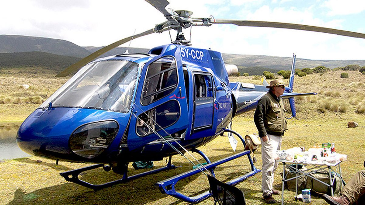 Maasai Mara travel guided