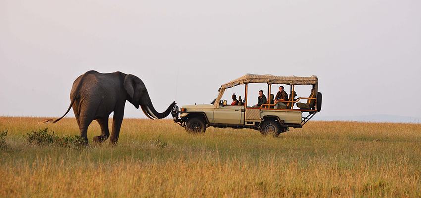 Maasai Mara walking safaris