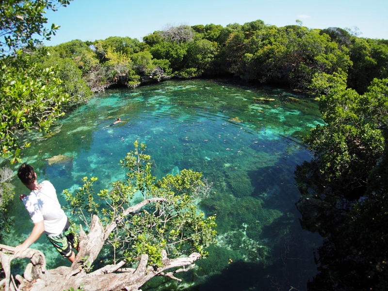 Mafia Island Tanzania safaris