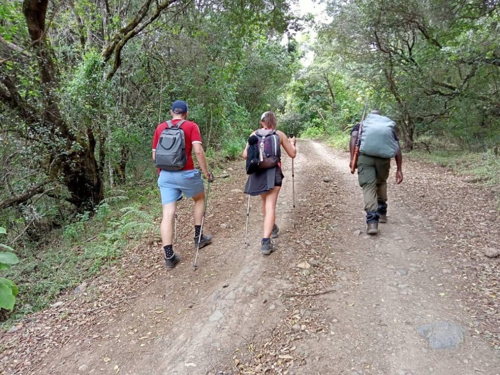 Mount Meru trekking in Arusha City