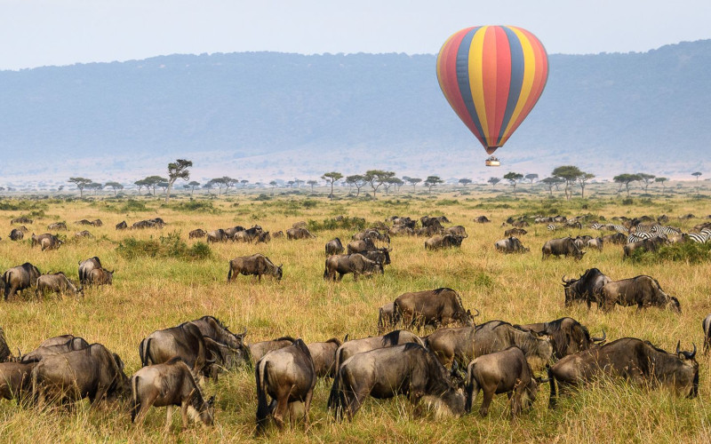 Northern Circuit 10 Days Tanzania Safari & Zanzibar Tour