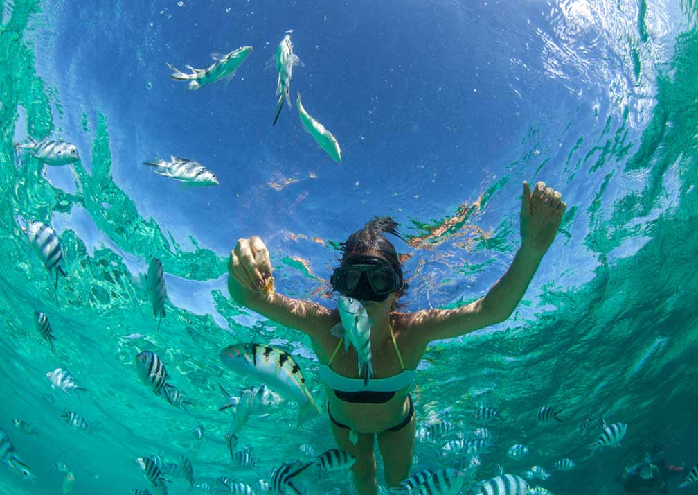 Ocean safari Mafia Island