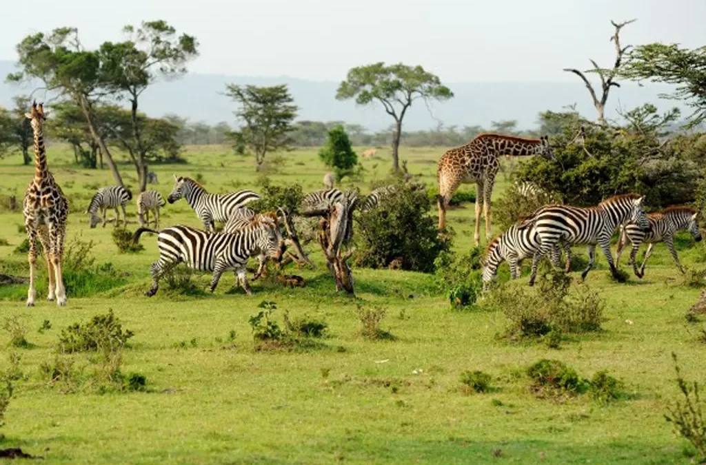 Private safaris in Dar es Salaam