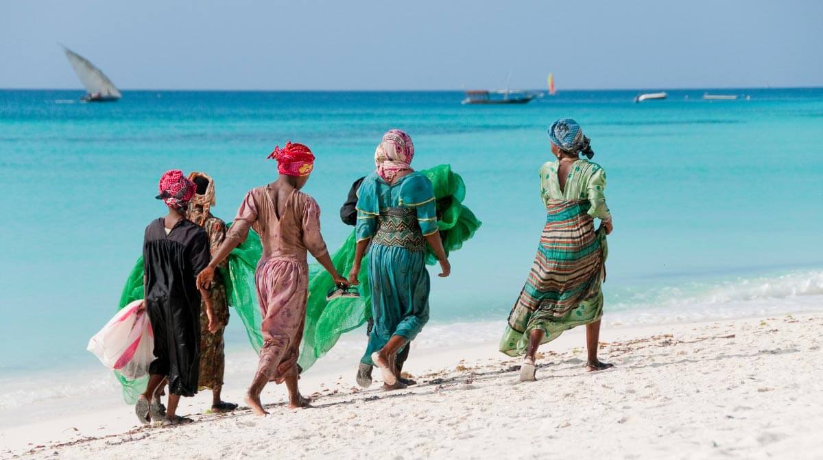 Safari experiences from Dar es Salaam