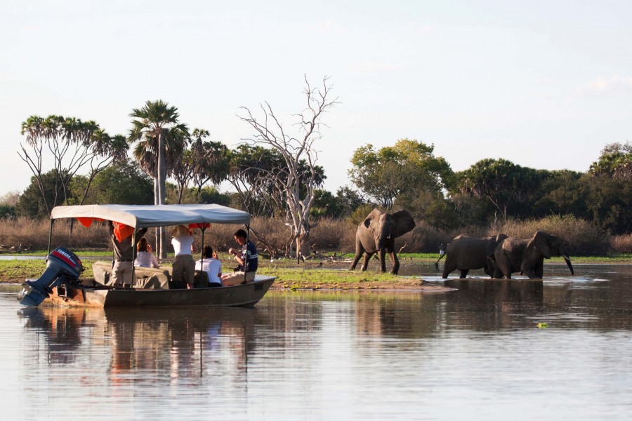 Selous Game Reserve safari, Selous Game Reserve Tanzania