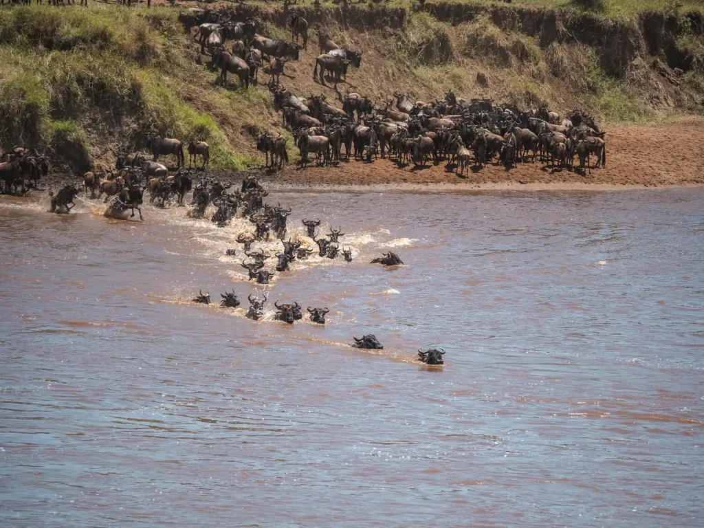 Serengeti River Safari, Luxury Serengeti safaris