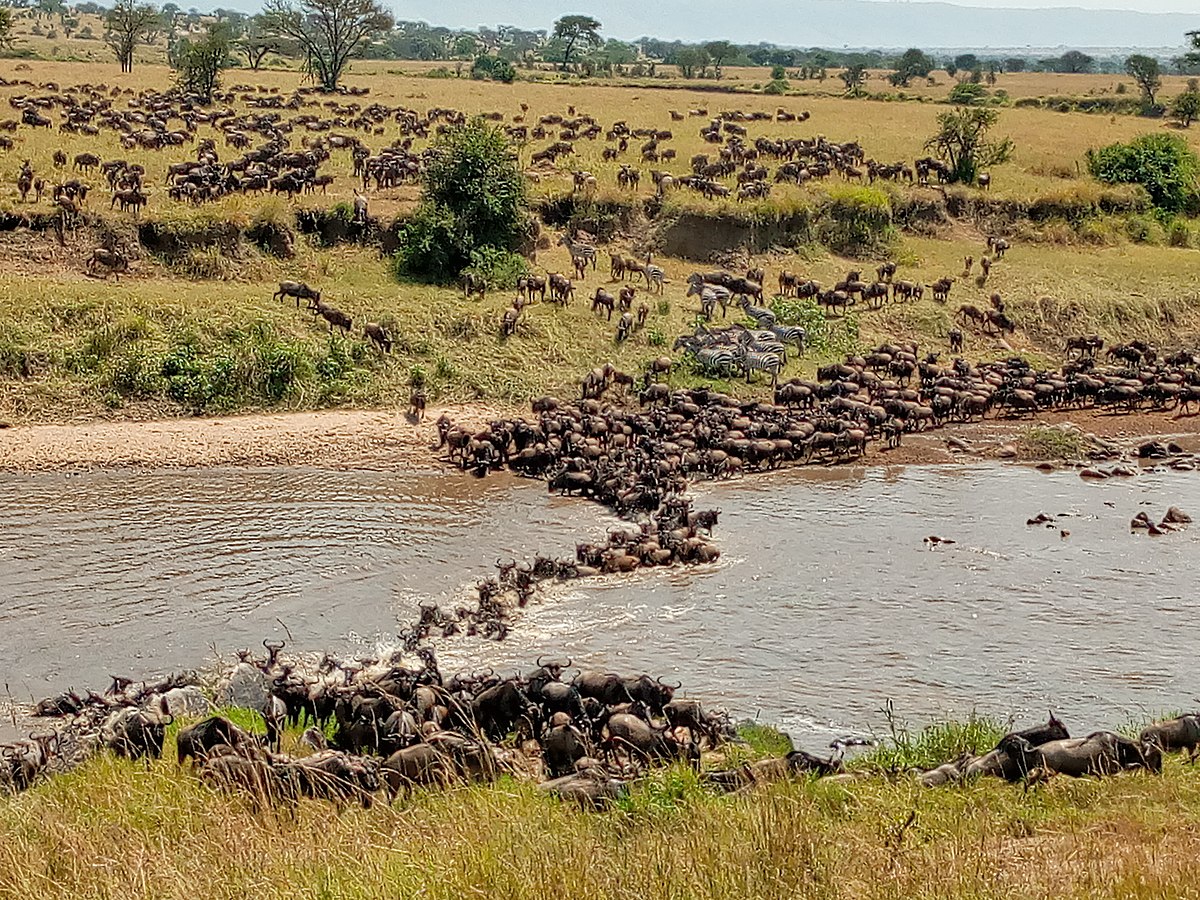 Serengeti River Adventure
