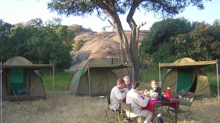 Shared Safari Experience Tanzania