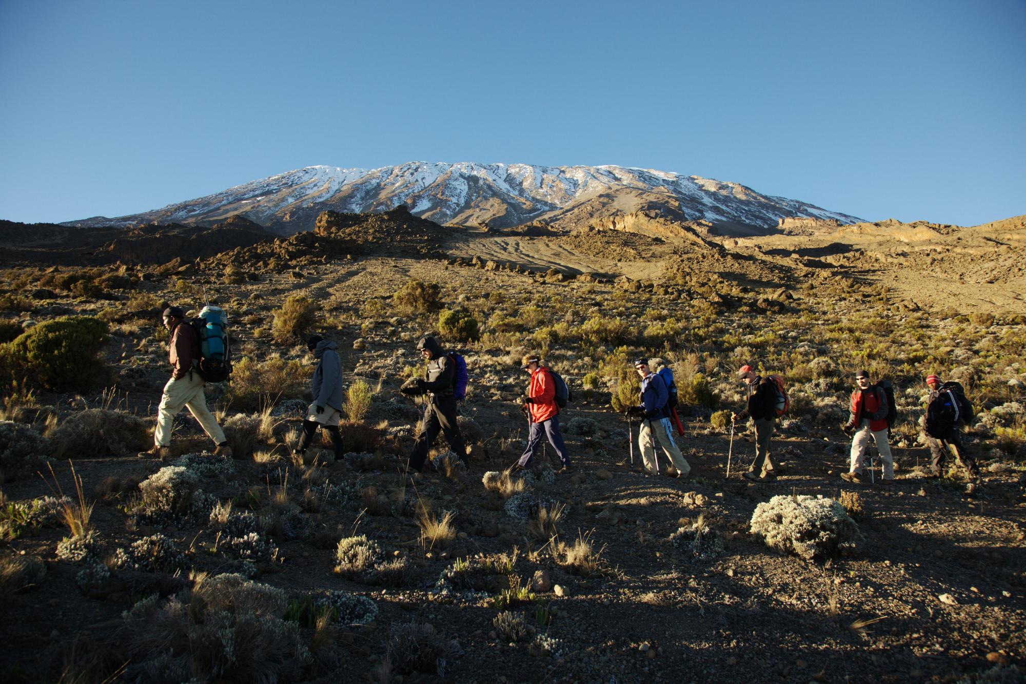 Sécurité Mont Kilimandjaro, Guide expérimenté Kilimandjaro