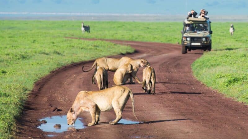 Tanzania Travel Safety, Tanzania health tips
