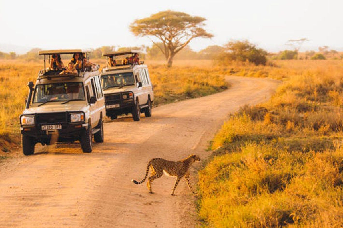 Tanzania group join safari for solo travelers  2024 and 2025