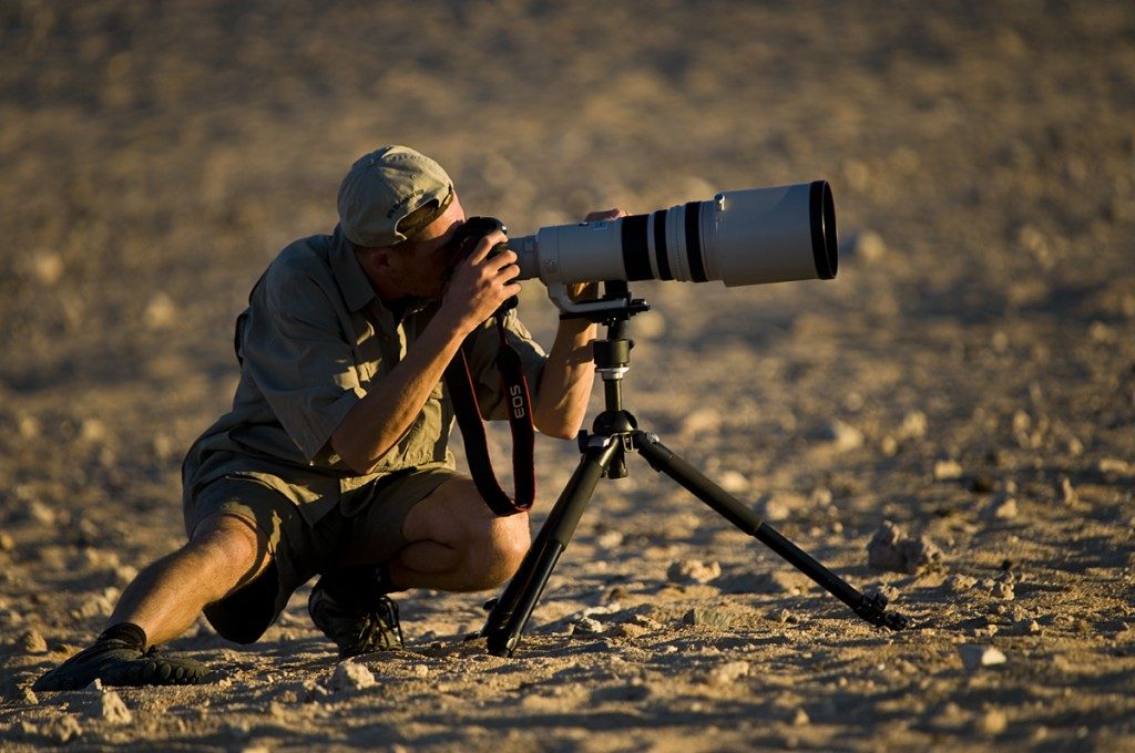 Tanzania photography safari option