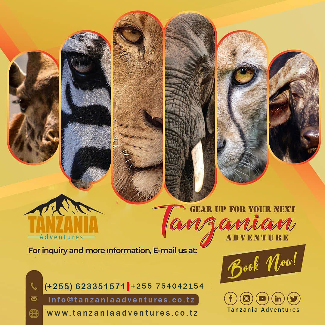 Tanzania safari group specialists