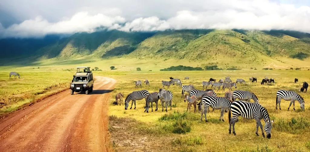 Tanzania safari itineraries for solo travelers 2024