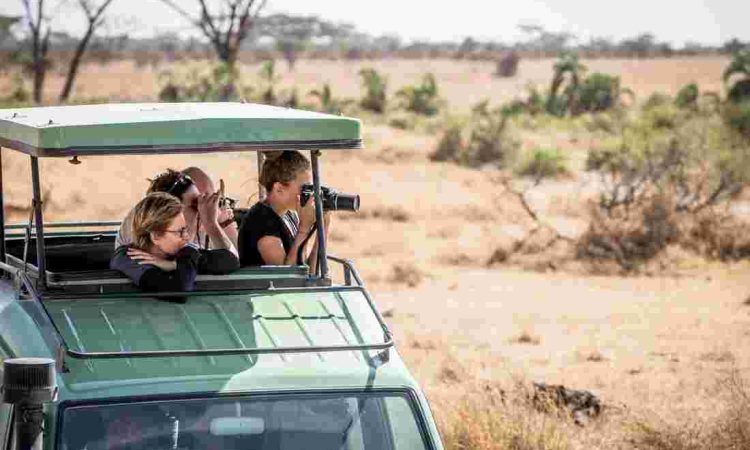 Tanzanian national park and safari packages 2025
