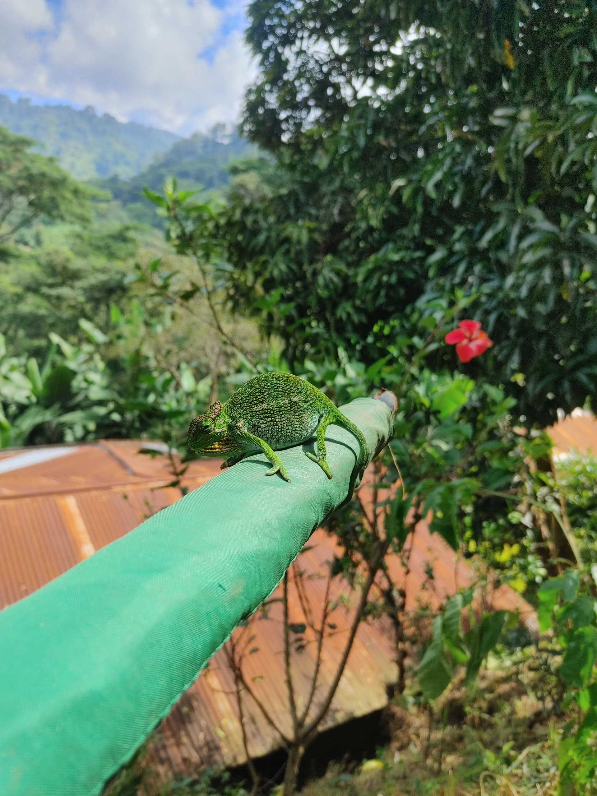 The 15 Best Things to Do in Moshi - A Comprehensive City Tour Guide