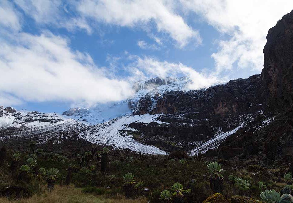 10-Day Kilimanjaro Lemosho Route Full Package