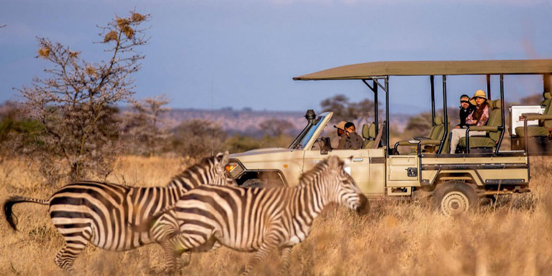The Best 4 Days 3 Nights Katavi Park Safari From Arusha