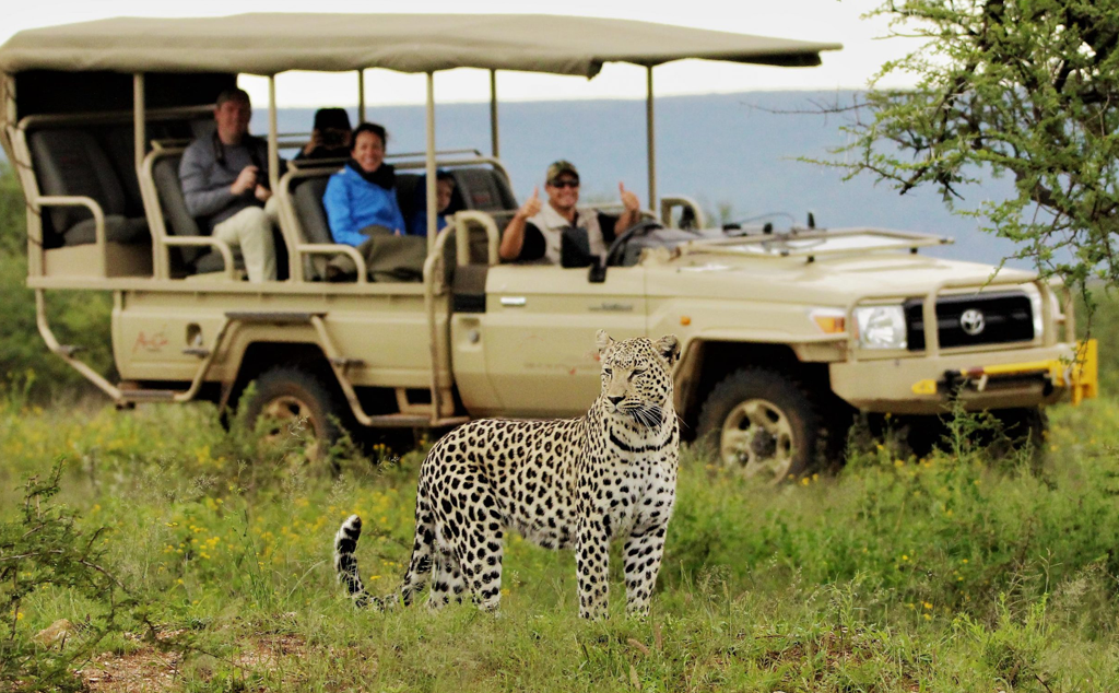 The Best 4 Days Luxury Serengeti Safari Package