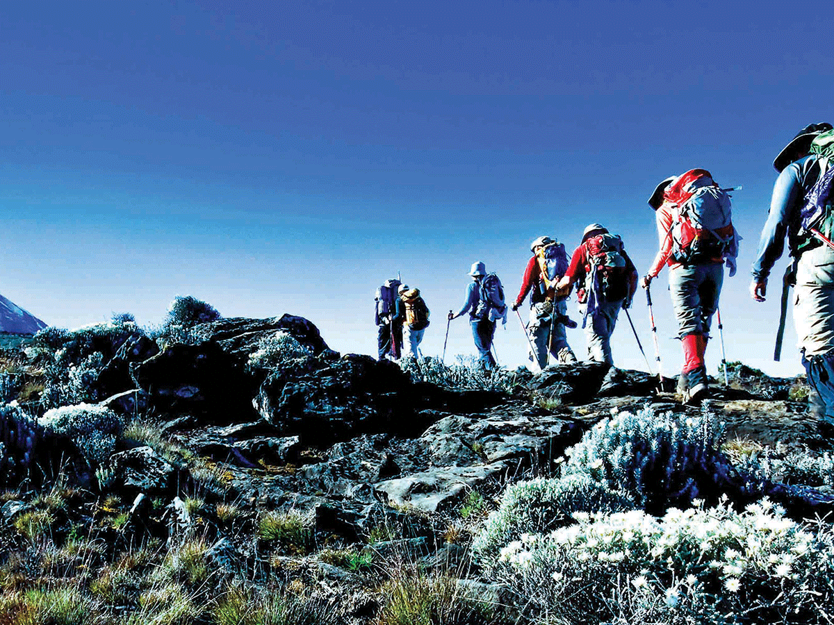 The Best 9-day group trekking to Kilimanjaro peak