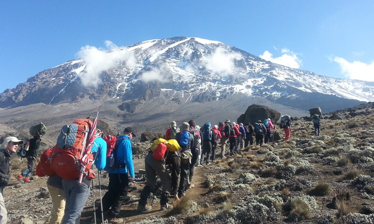 The Best Kilimanjaro Hiking Adventure
