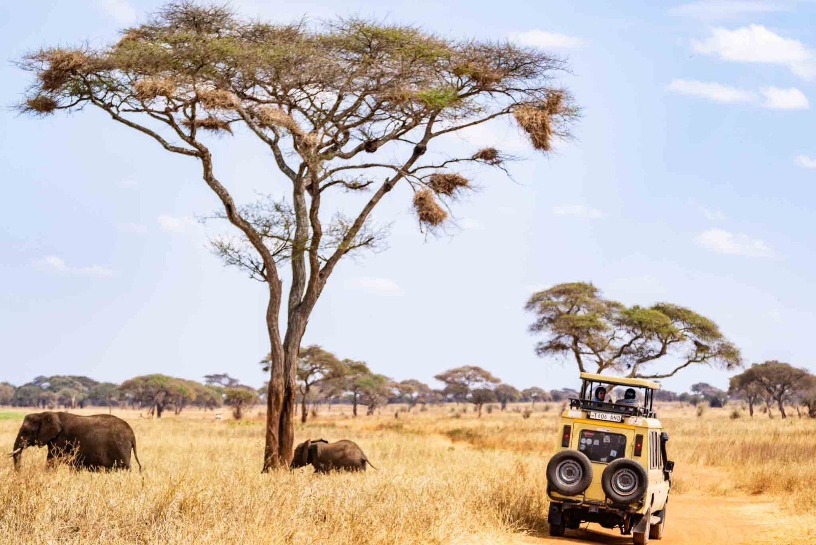 The Best Tanzania safari adventure packages