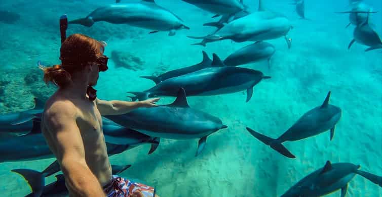 The Best Things tours  to do in Mangapwani