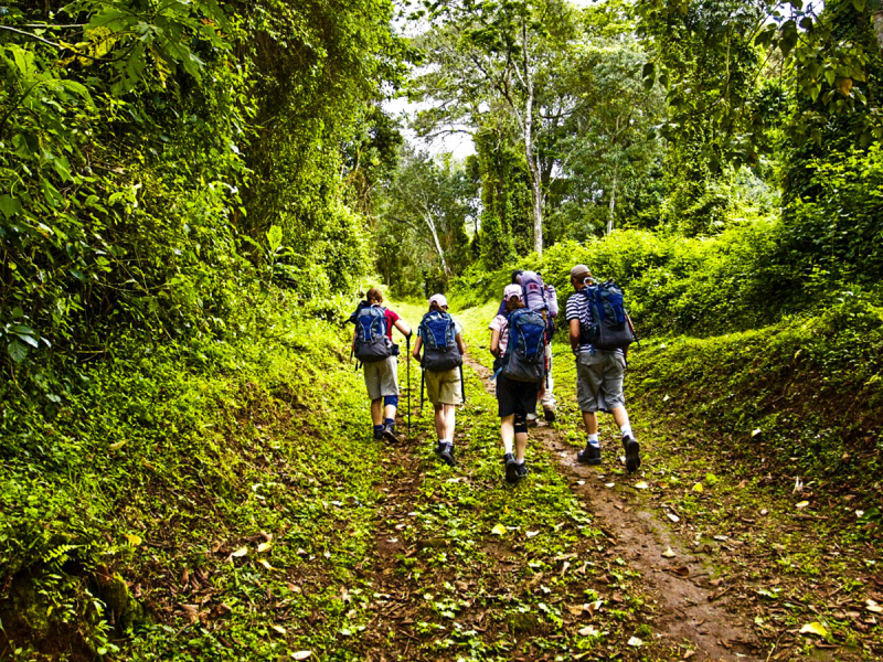 Discover The Best Things tours to do in Marangu